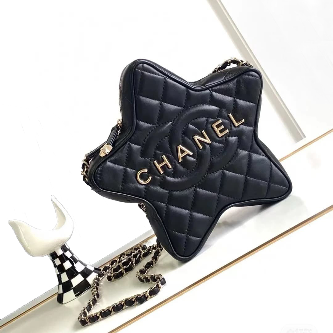 CHANEL handbag The Cruise 2024 Star handbag lucky girl