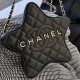 CHANEL handbag The Cruise 2024 Star handbag lucky girl