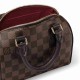 LOUIS VUITTON Speedy Bandoulière 20 Handbag