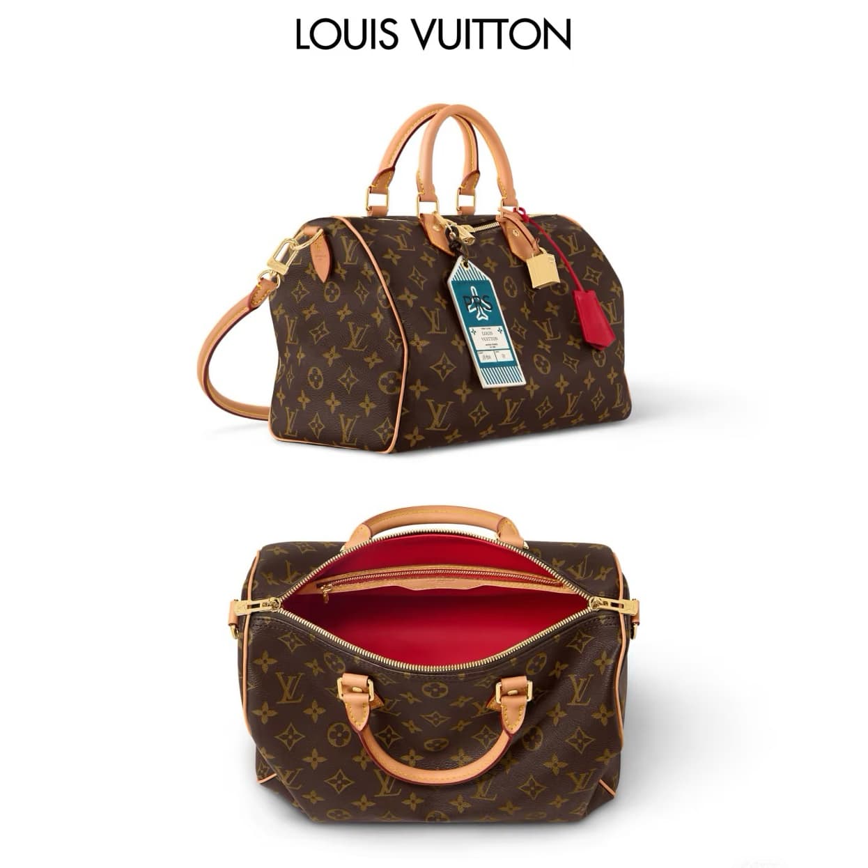 LOUIS VUITTON Speedy Soft 30 Dark Crafty Boho Handbag