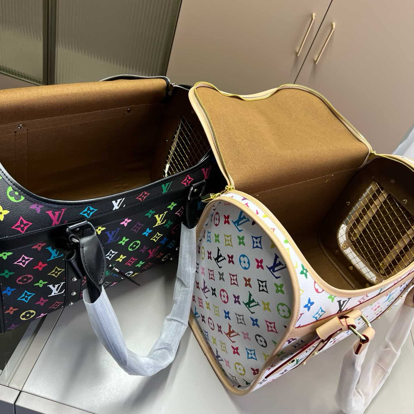 LOUIS VUITTON Pet Box Handbag