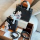 LOUIS VUITTON OnTheGo BB & PM Sizes Handbag