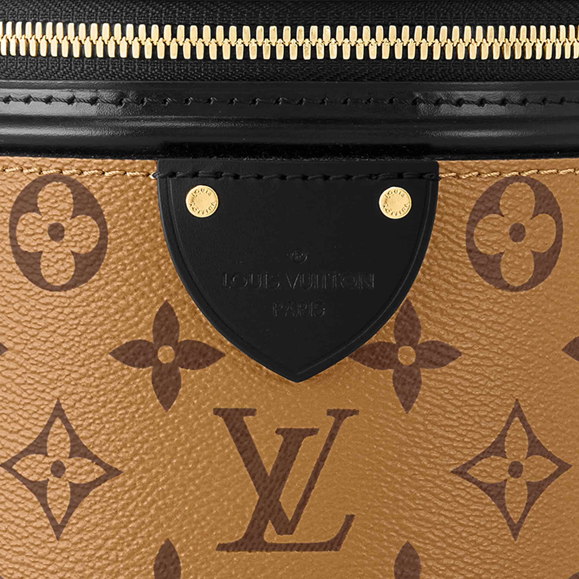 LOUIS VUITTON Cannes handbag