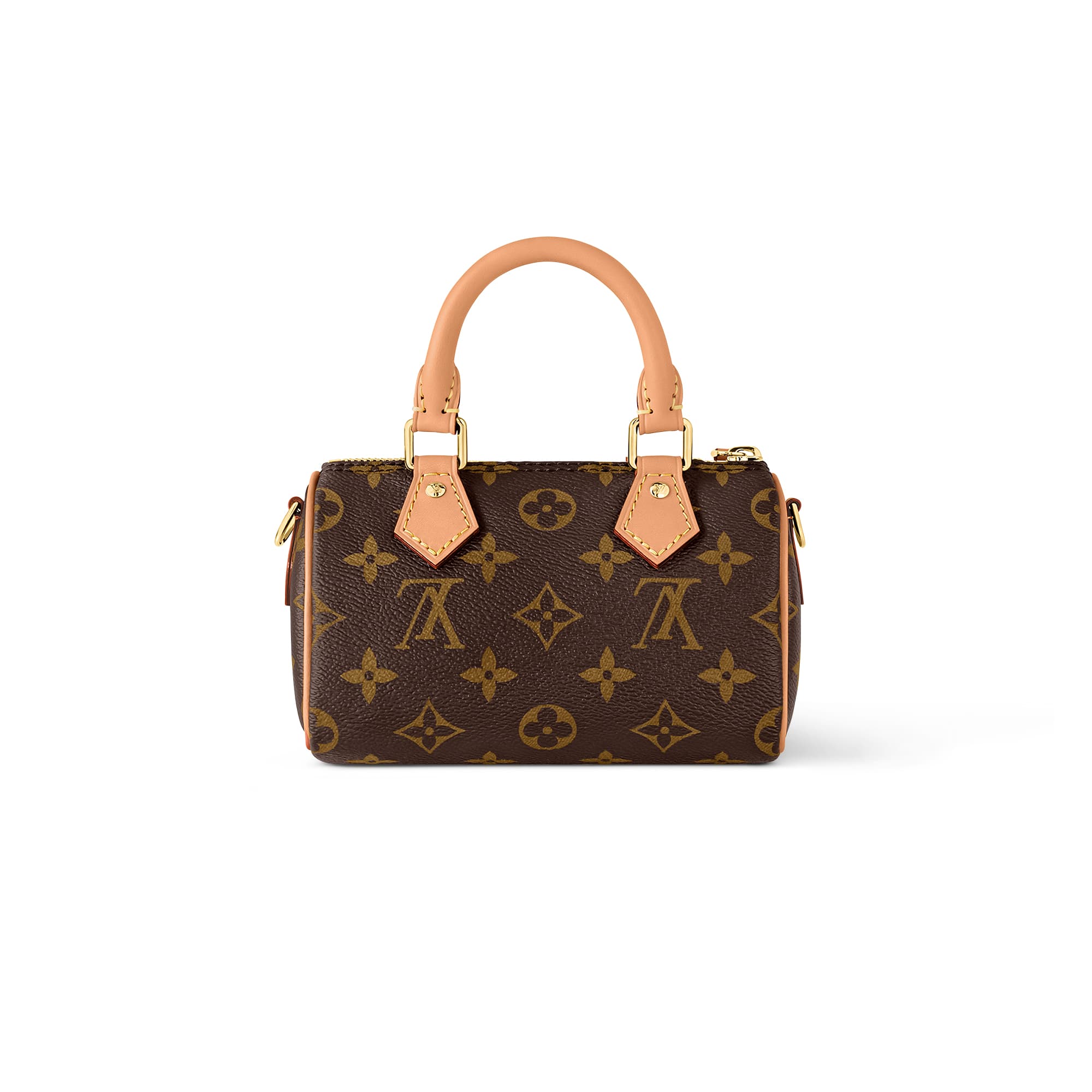 LOUIS VUITTON Nano Speedy handbag  to carry essentials